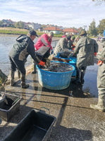 Snímek obrazovky 2025-10-14 101056.png